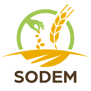 SODEM